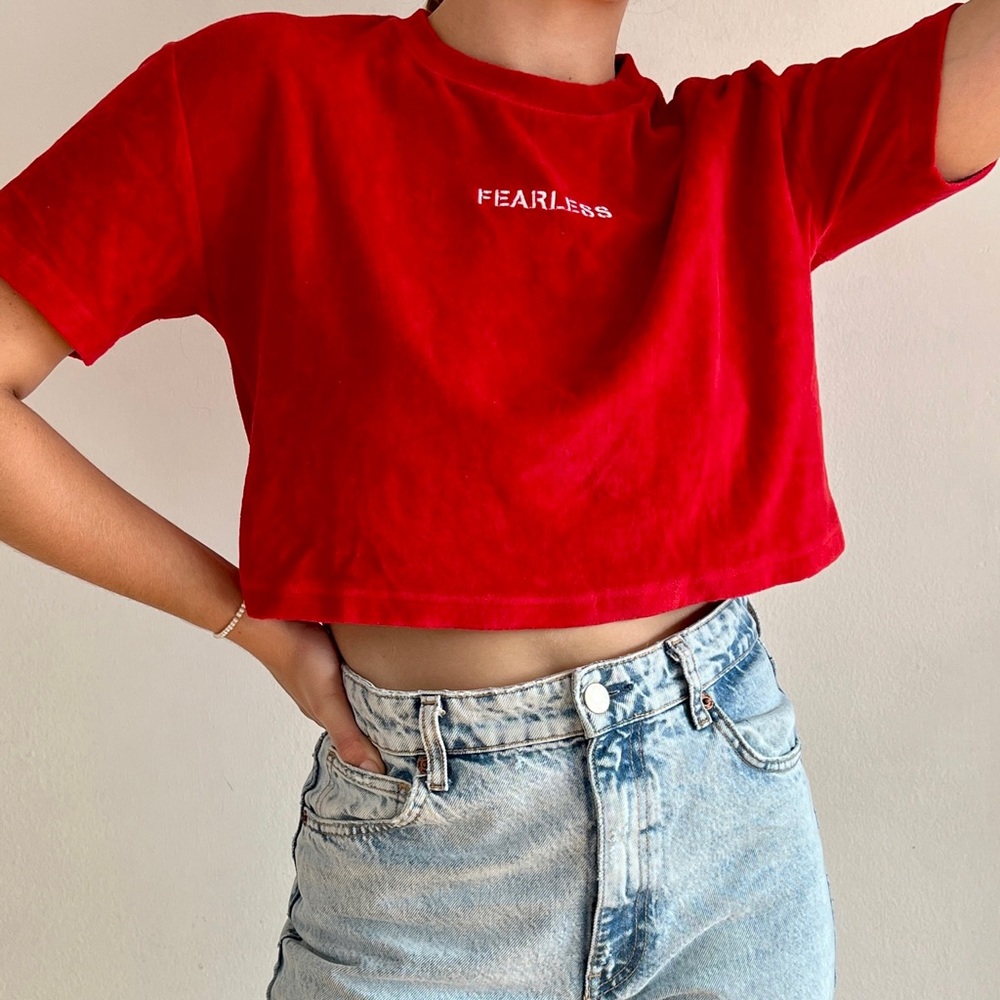 BDG Urban outfitters cropped velvet tee